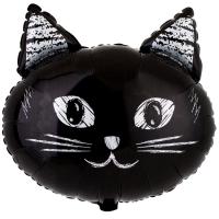 Фигура Котики