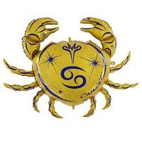 Фигура Знак Зодиака Рак