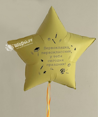 Звезда Первоклашка, первоклассник