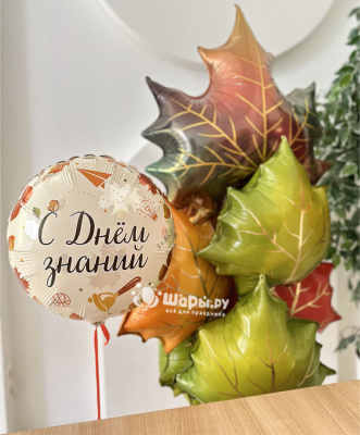 Сет С днем знаний Клен